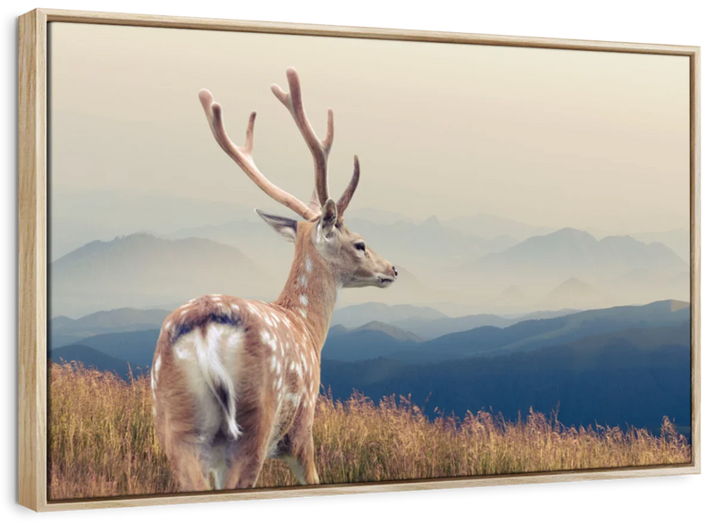 Mountain Sika Deer Wall Art