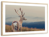 Mountain Sika Deer Wall Art