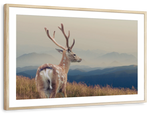 Mountain Sika Deer Wall Art