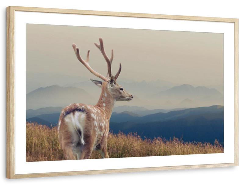 Mountain Sika Deer Wall Art