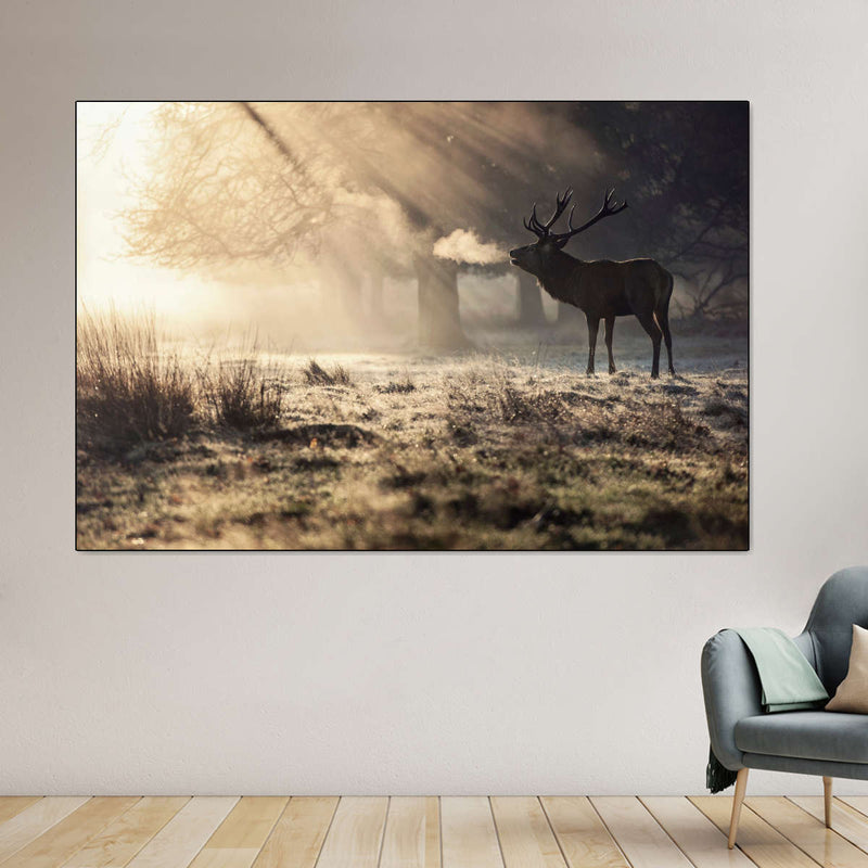 Wild Deer In Snow Wall Art