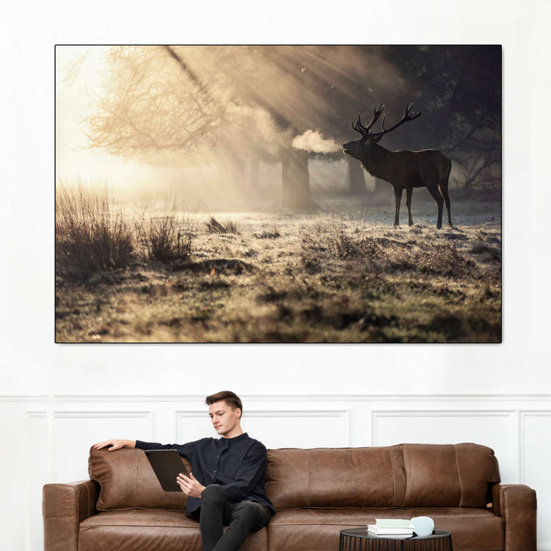 Wild Deer In Snow Wall Art