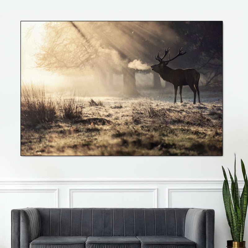 Wild Deer In Snow Wall Art