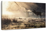 Wild Deer In Snow Wall Art