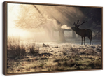 Wild Deer In Snow Wall Art
