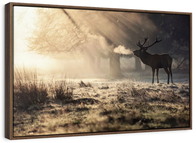 Wild Deer In Snow Wall Art