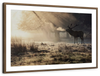 Wild Deer In Snow Wall Art