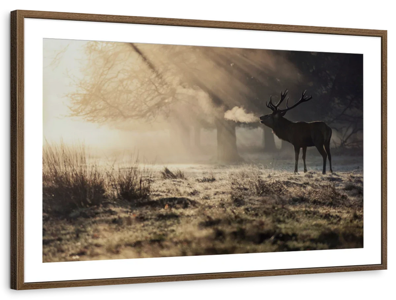 Wild Deer In Snow Wall Art