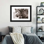 Moose Head Wall Art