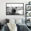 Highland Bull Wall Art