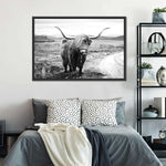 Highland Bull Wall Art