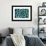 Live Succulent Wall Art