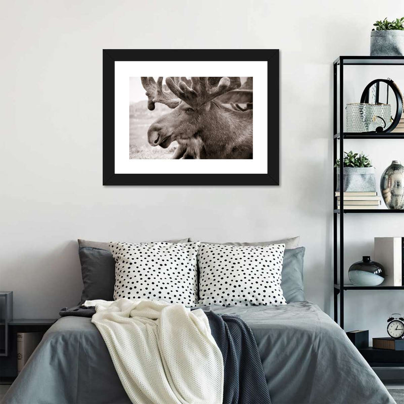 Moose Head Wall Art