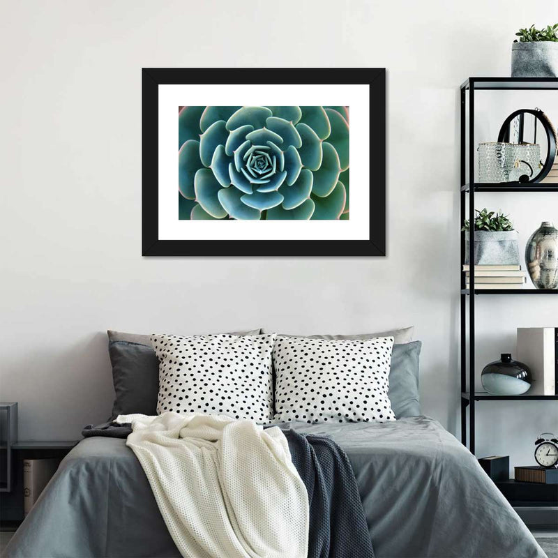 Live Succulent Wall Art