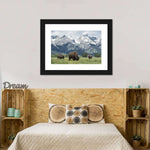 Grazing Teton Bison Wall Art