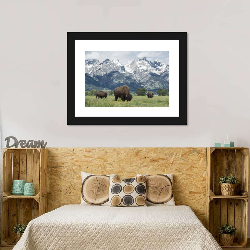 Grazing Teton Bison Wall Art