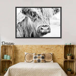 Long Haired Cow Wall Art