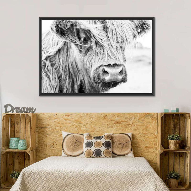 Long Haired Cow Wall Art