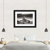 Lioness Wall Art