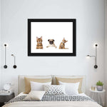 Pug And Cats Wall Art