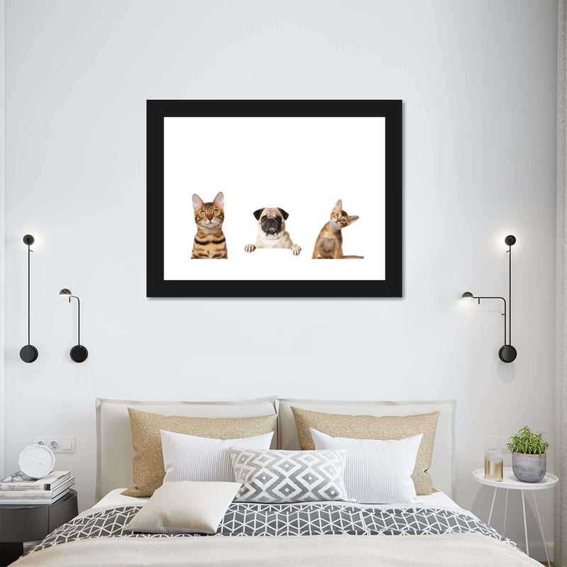 Pug And Cats Wall Art