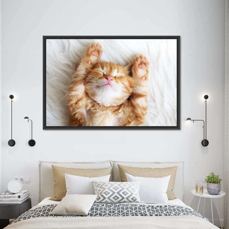Sleepy Kitty Wall Art
