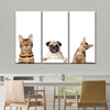 Pug And Cats Wall Art