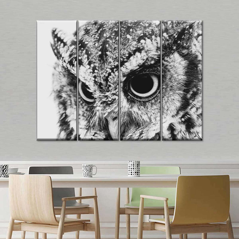 Staring Owl Wall Art