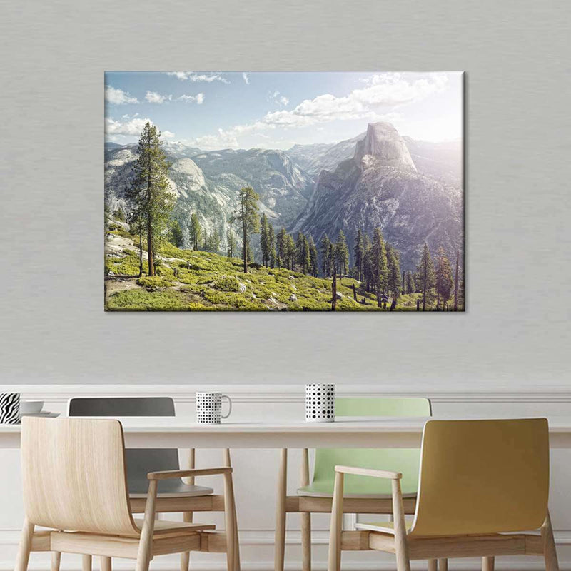 Yosemite Half Dome Wall Art