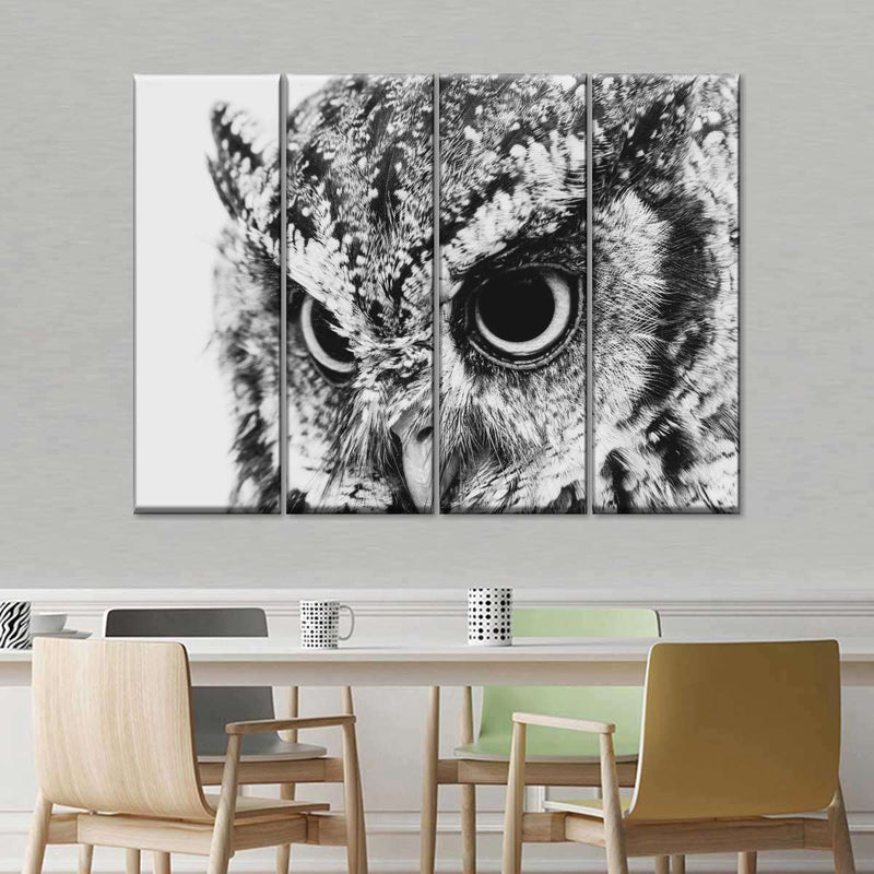 Staring Owl Wall Art