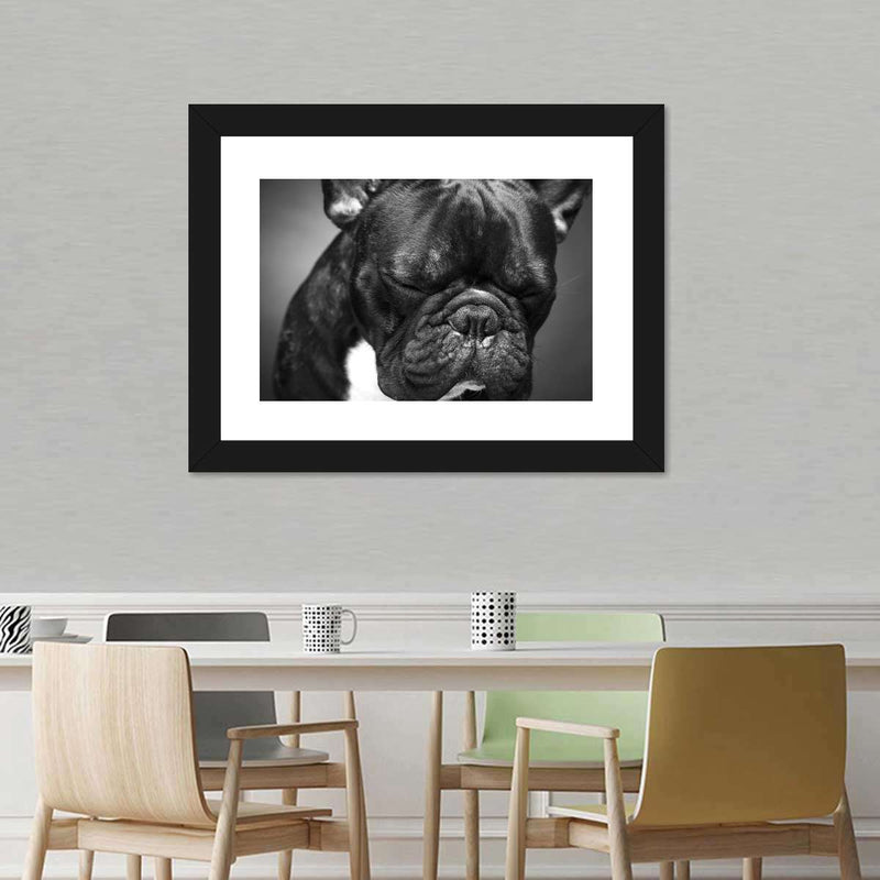 Melancholic French Bulldog Wall Art