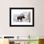 Snowy Moose Wall Art