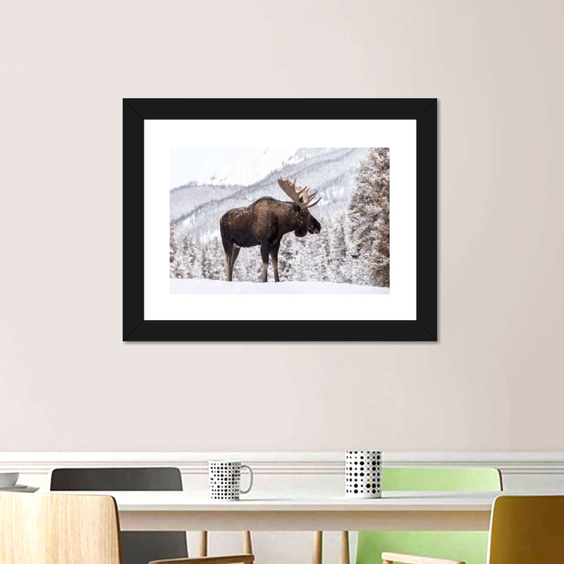 Snowy Moose Wall Art