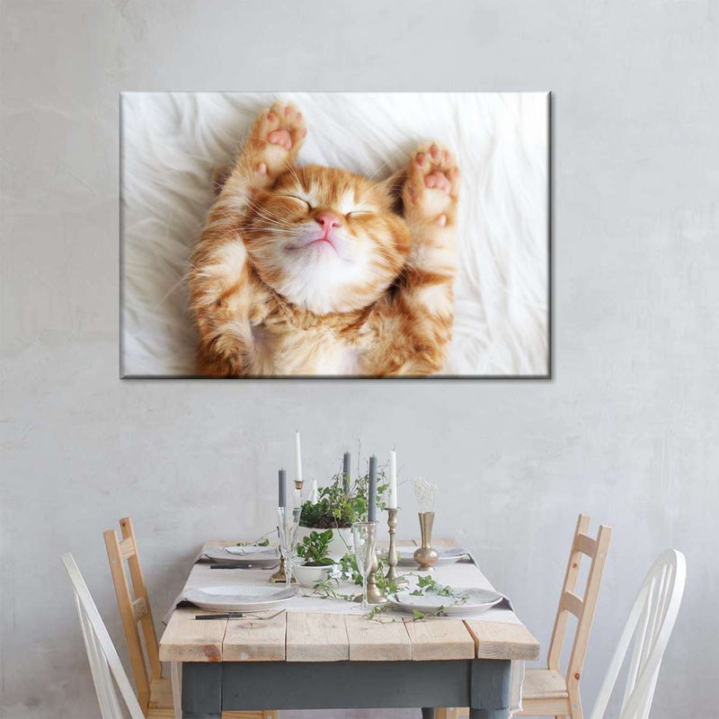 Sleepy Kitty Wall Art