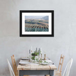 Tequila Jalisco Agave Field Wall Art