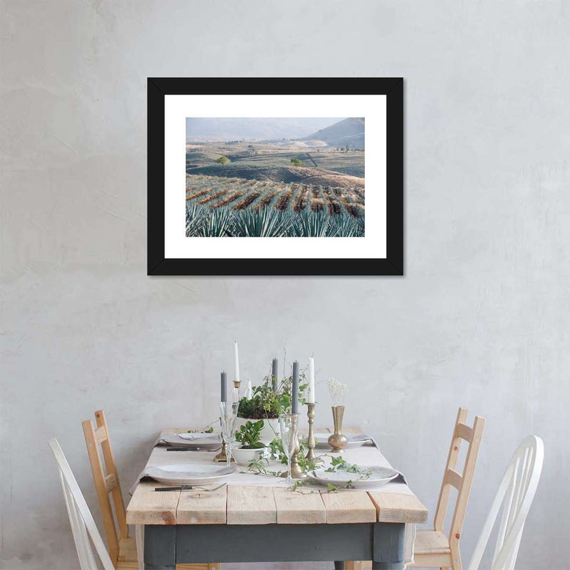Tequila Jalisco Agave Field Wall Art