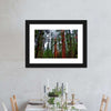 Vibrant Redwood Wall Art