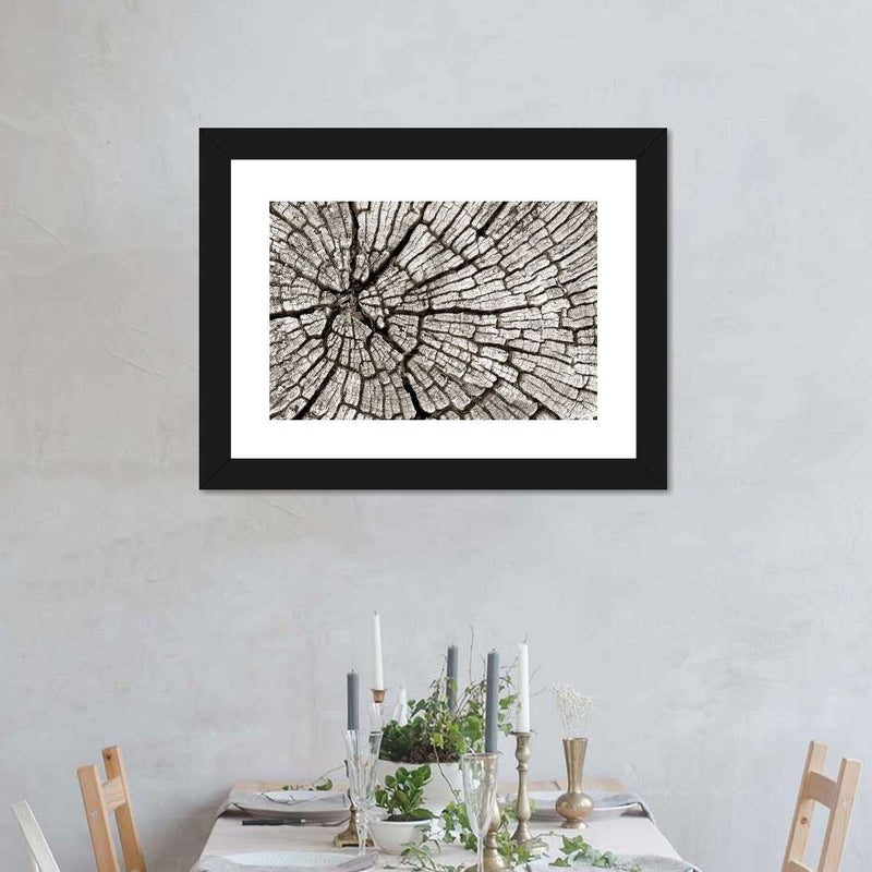 Tree Stump Wall Art