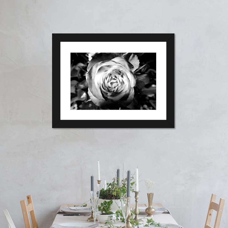 Monochromatic Rose Wall Art