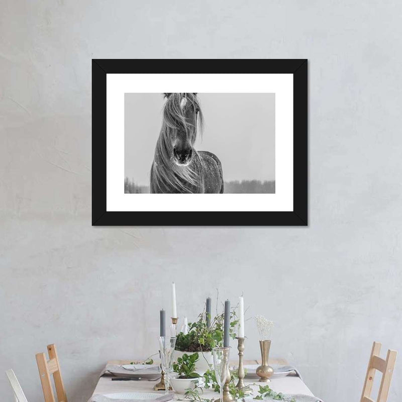 Winter Horse Wall Art