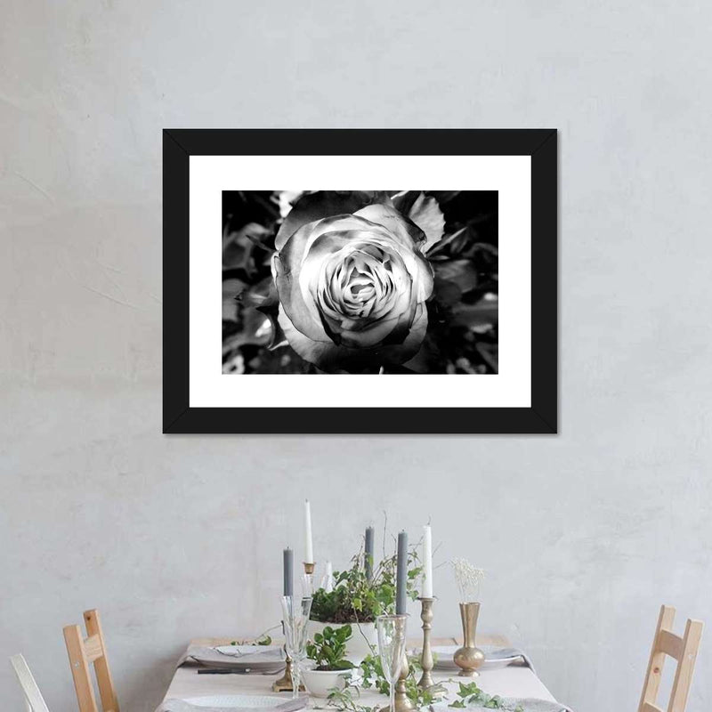 Monochromatic Rose Wall Art