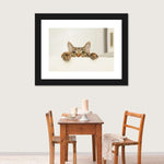 Peeking Young Cat Wall Art