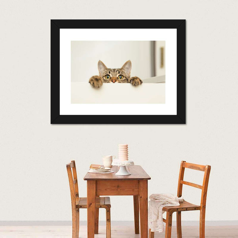 Peeking Young Cat Wall Art
