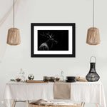 Monochrome Bull Elk Wall Art