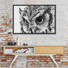 Staring Owl Wall Art