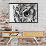 Staring Owl Wall Art