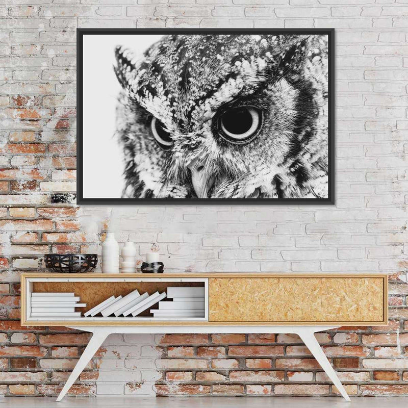 Staring Owl Wall Art