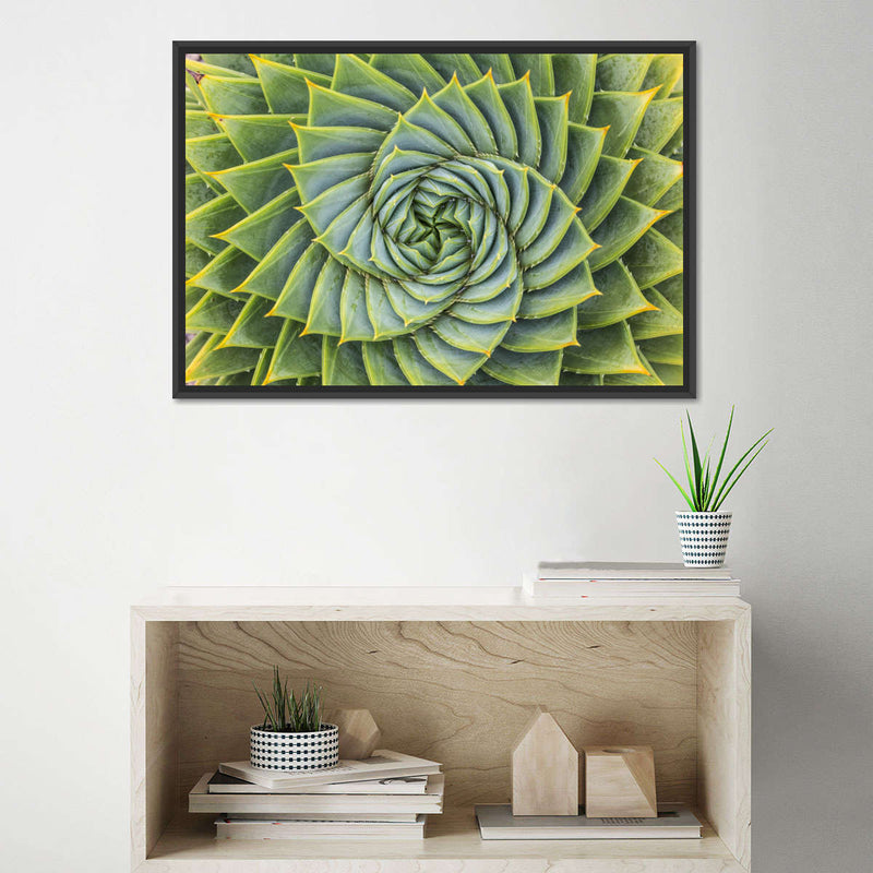 Spiral Succulent Wall Art