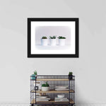 Three Succulents Wall Art