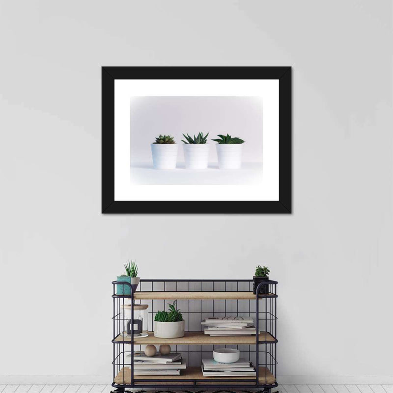 Three Succulents Wall Art